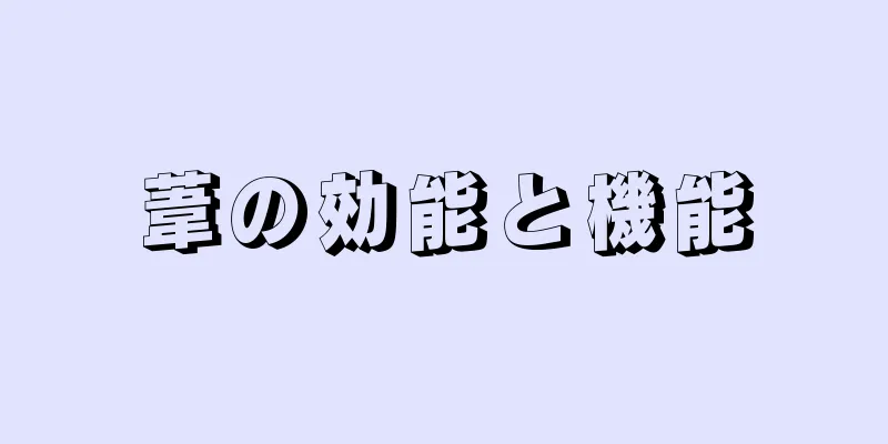 葦の効能と機能