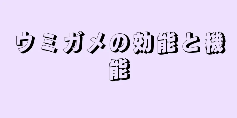 ウミガメの効能と機能