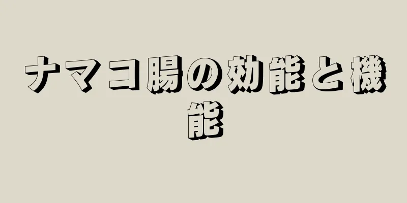 ナマコ腸の効能と機能