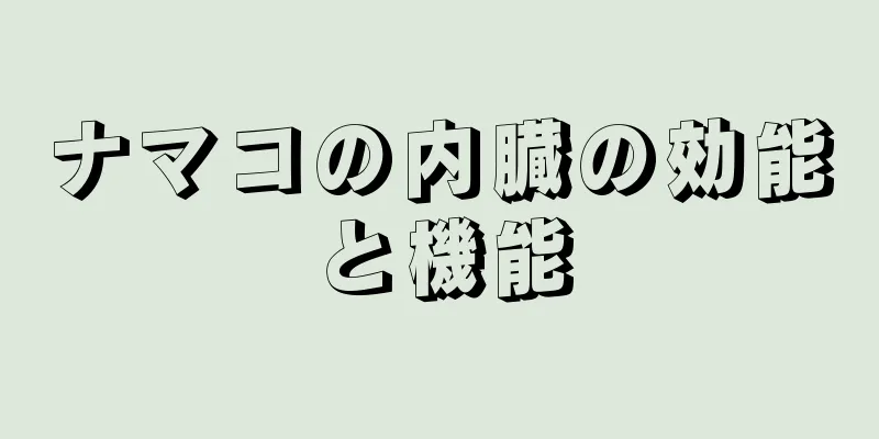 ナマコの内臓の効能と機能