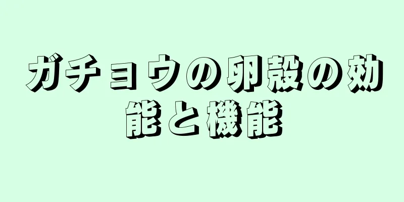 ガチョウの卵殻の効能と機能