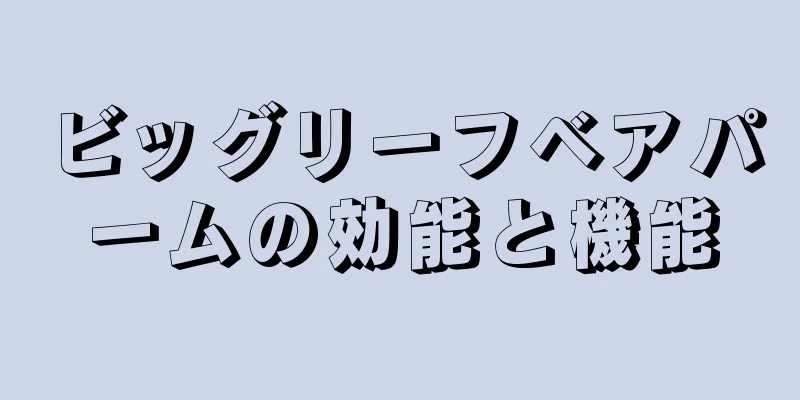ビッグリーフベアパームの効能と機能