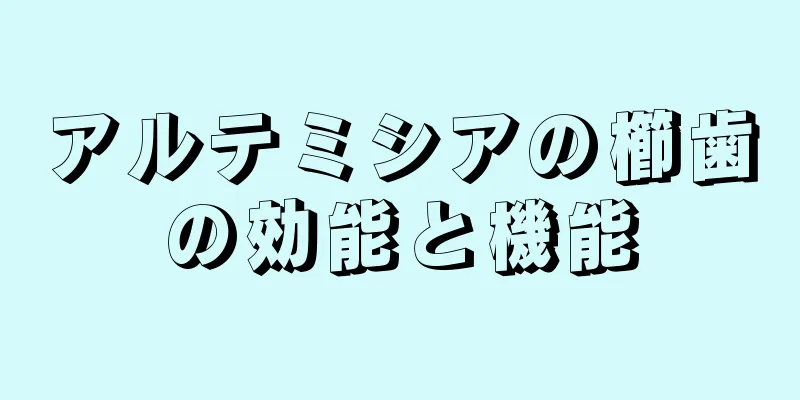 アルテミシアの櫛歯の効能と機能