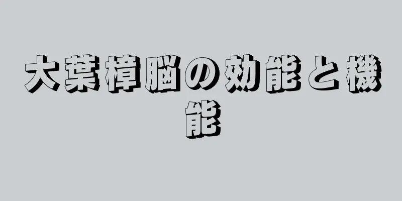 大葉樟脳の効能と機能
