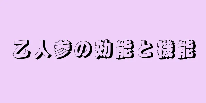 乙人参の効能と機能