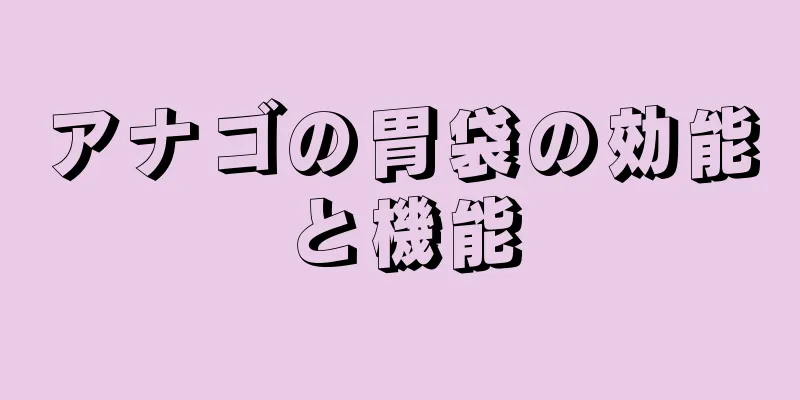 アナゴの胃袋の効能と機能