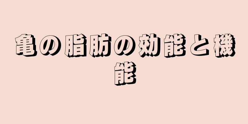 亀の脂肪の効能と機能