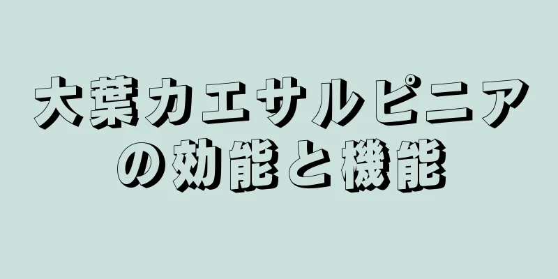 大葉カエサルピニアの効能と機能
