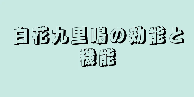 白花九里鳴の効能と機能