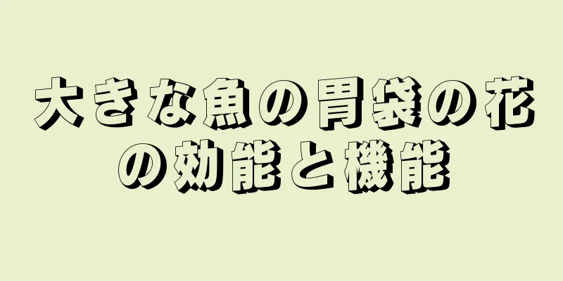 大きな魚の胃袋の花の効能と機能
