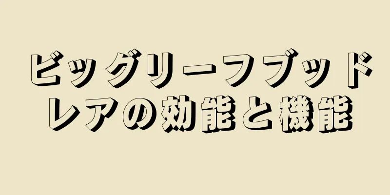 ビッグリーフブッドレアの効能と機能