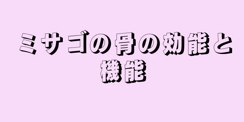 ミサゴの骨の効能と機能