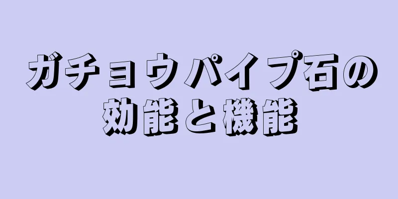 ガチョウパイプ石の効能と機能