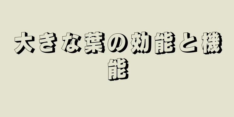 大きな葉の効能と機能