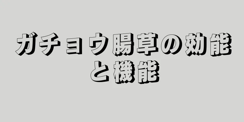 ガチョウ腸草の効能と機能