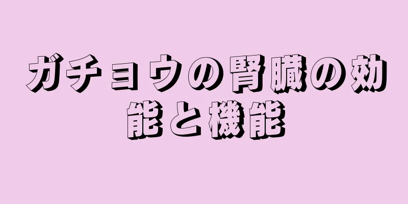 ガチョウの腎臓の効能と機能
