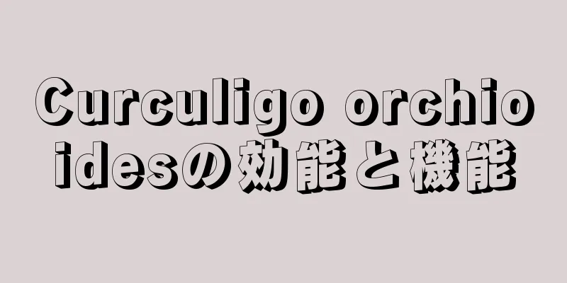 Curculigo orchioidesの効能と機能