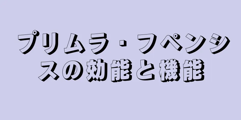 プリムラ・フペンシスの効能と機能