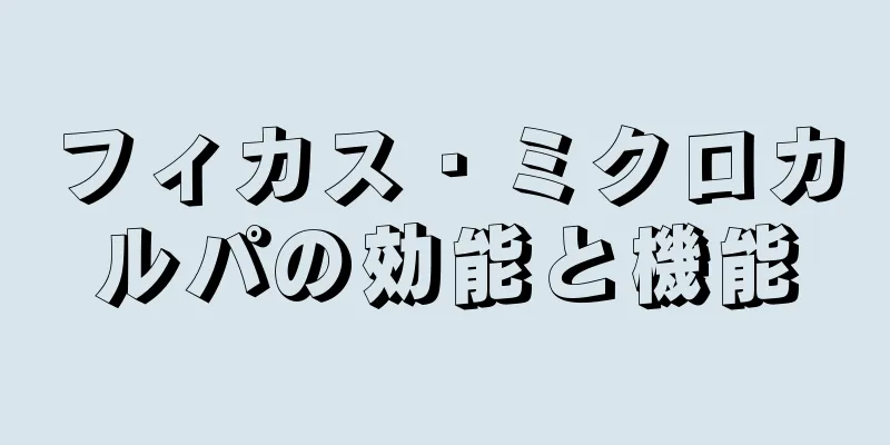 フィカス・ミクロカルパの効能と機能