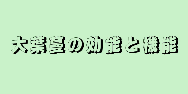 大葉蔓の効能と機能