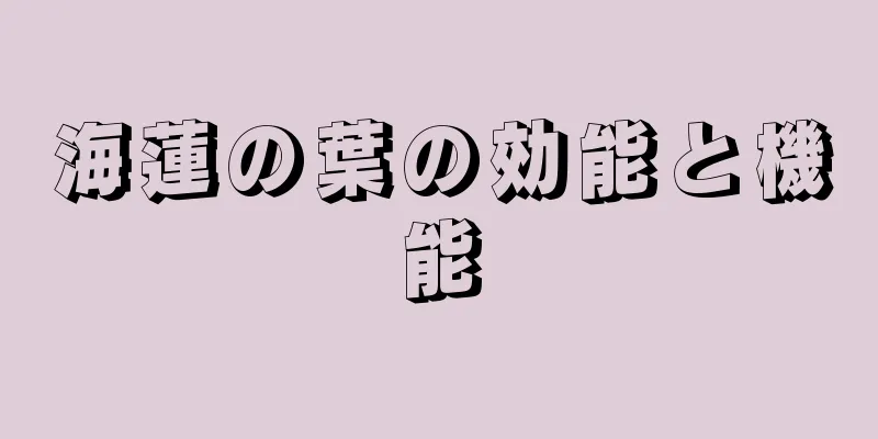 海蓮の葉の効能と機能