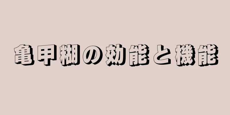 亀甲糊の効能と機能