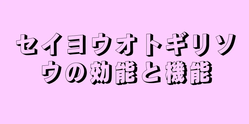 セイヨウオトギリソウの効能と機能
