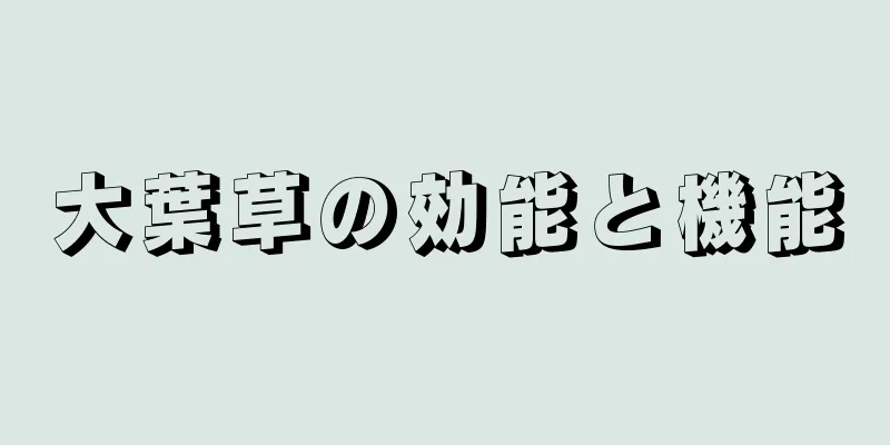大葉草の効能と機能