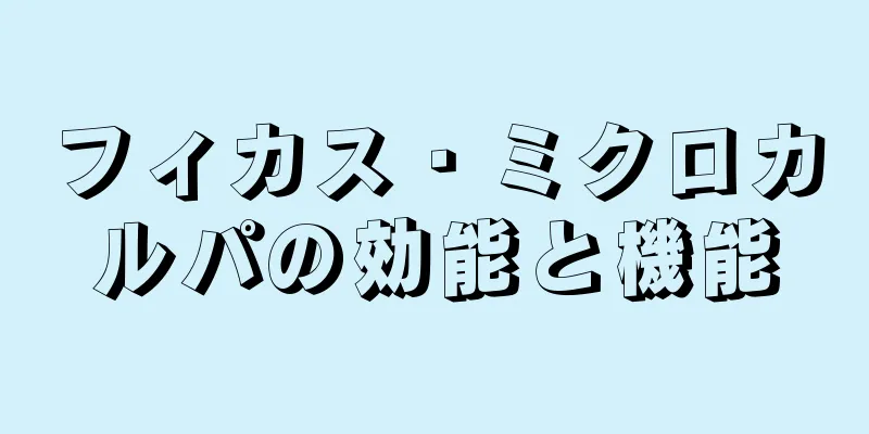 フィカス・ミクロカルパの効能と機能