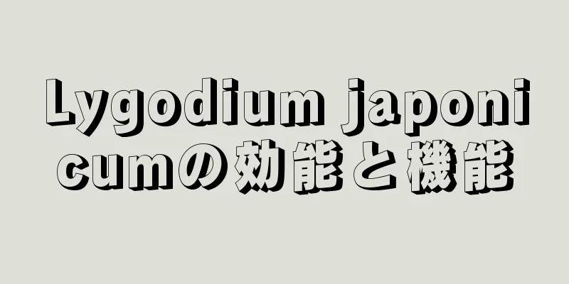 Lygodium japonicumの効能と機能