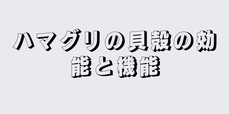 ハマグリの貝殻の効能と機能