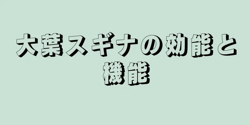大葉スギナの効能と機能