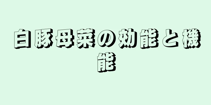 白豚母菜の効能と機能