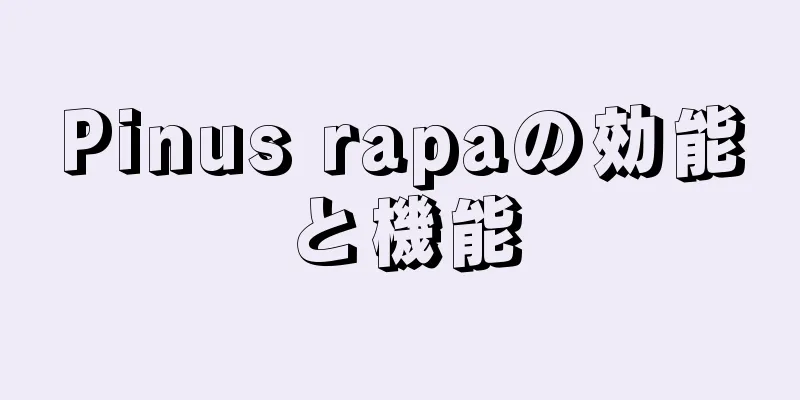 Pinus rapaの効能と機能