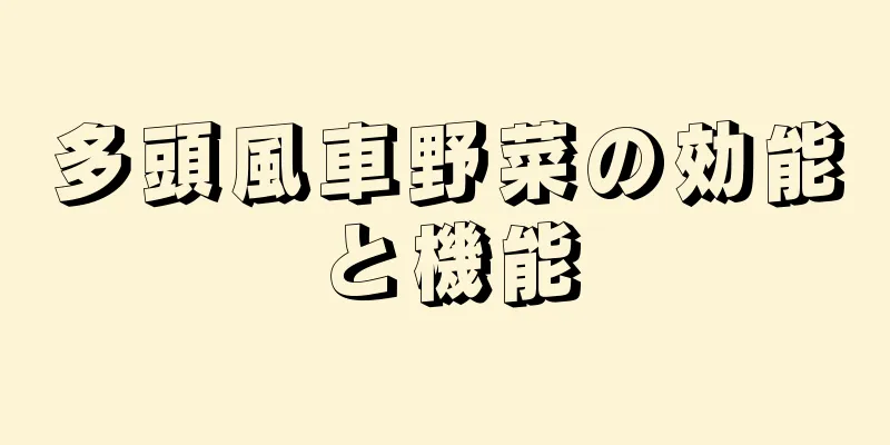 多頭風車野菜の効能と機能