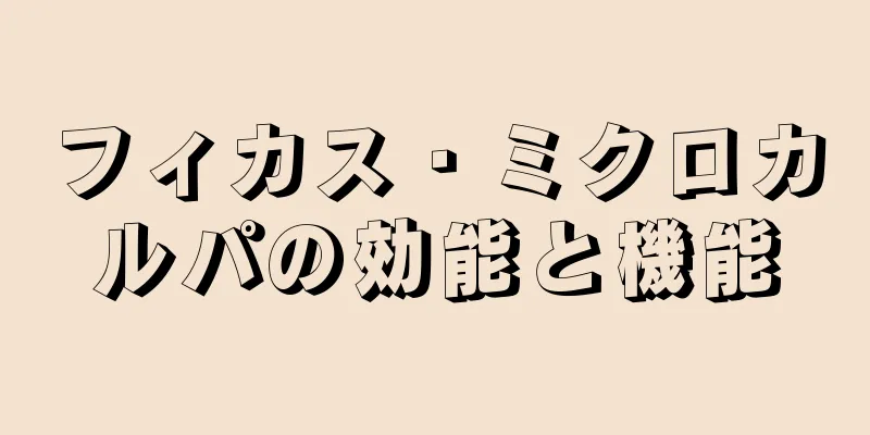 フィカス・ミクロカルパの効能と機能