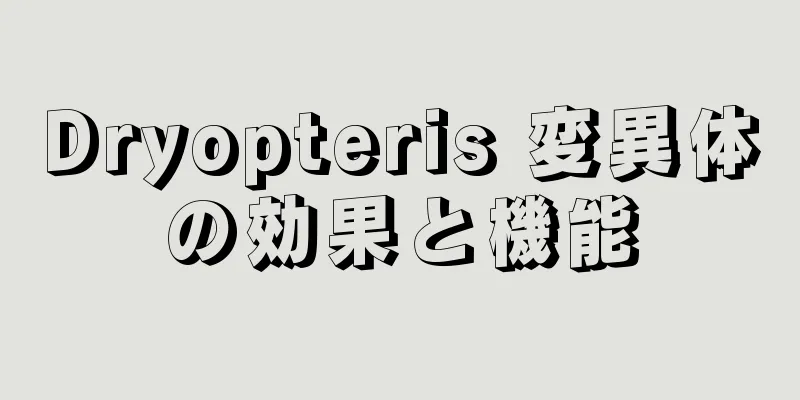 Dryopteris 変異体の効果と機能