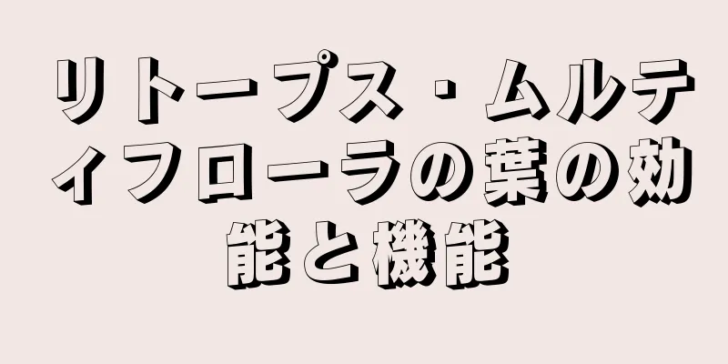 リトープス・ムルティフローラの葉の効能と機能