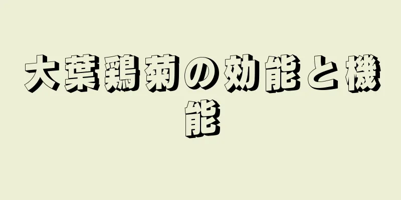 大葉鶏菊の効能と機能