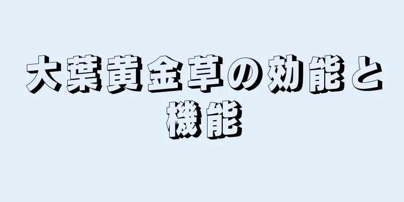 大葉黄金草の効能と機能