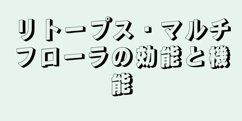 リトープス・マルチフローラの効能と機能