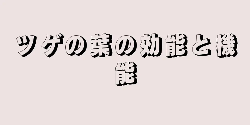 ツゲの葉の効能と機能