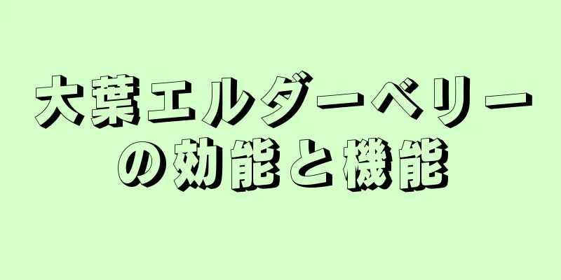 大葉エルダーベリーの効能と機能