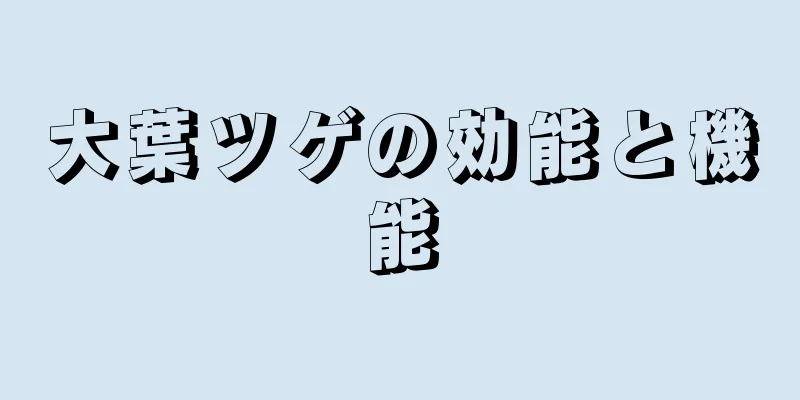 大葉ツゲの効能と機能