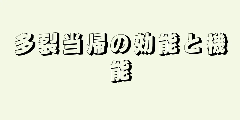 多裂当帰の効能と機能