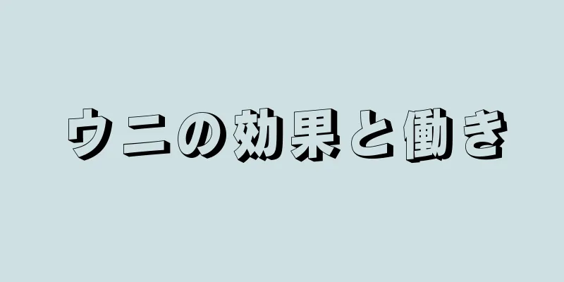 ウニの効果と働き