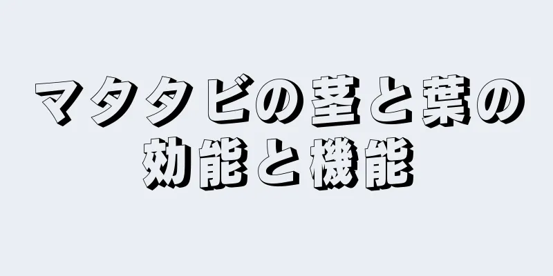マタタビの茎と葉の効能と機能
