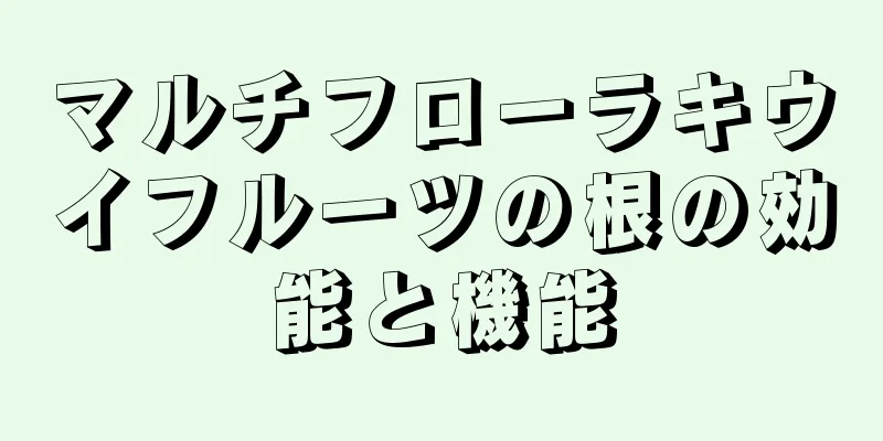 マルチフローラキウイフルーツの根の効能と機能