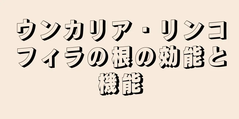 ウンカリア・リンコフィラの根の効能と機能