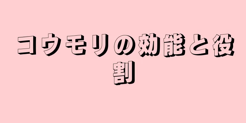 コウモリの効能と役割